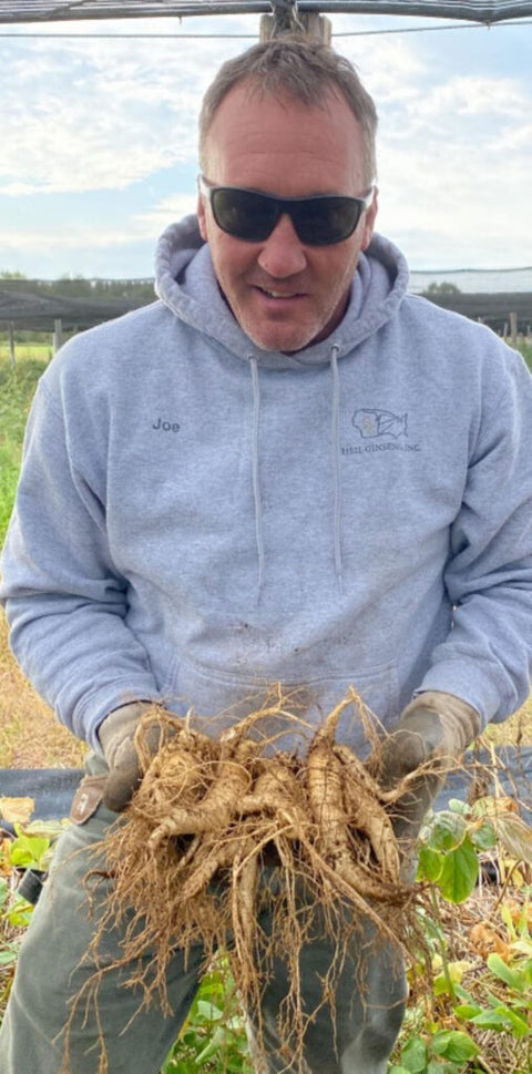 Joe Heil with fresh roots from our Wisconsin farm.