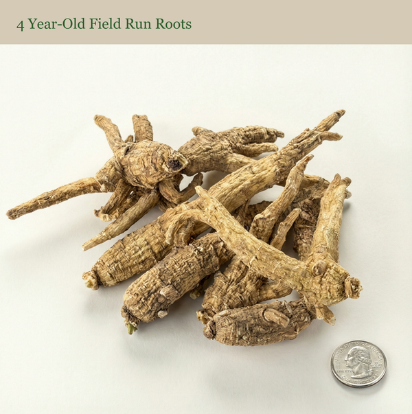 Wisconsin American Ginseng Roots — 4-Year Field Run — 10 lb Bulk