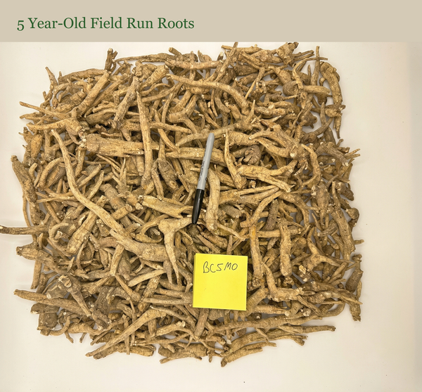 2025 Harvest – 5 Year-Old Field Run Roots (10 lb)