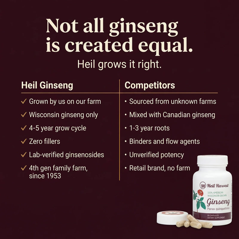 Wisconsin American Ginseng Capsules — 500mg — 60 Count - Image 3