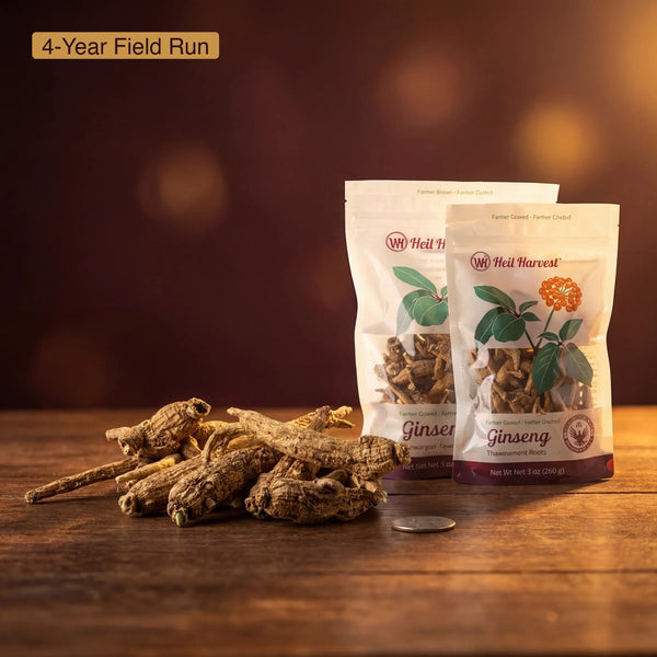 Wisconsin American Ginseng Whole Root — 4-Year-Old