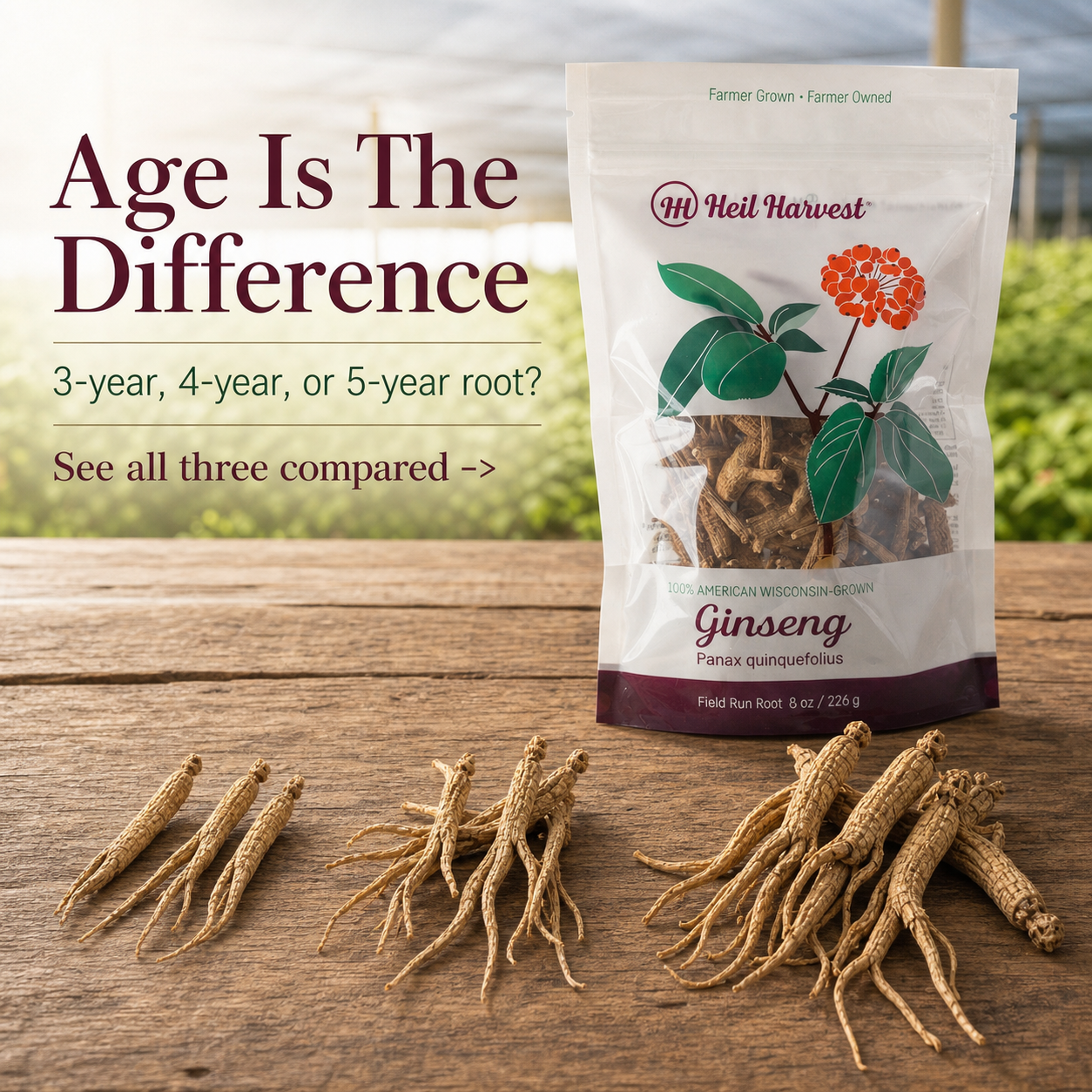 Heil Harvest Wisconsin ginseng packaging with whole roots and age-comparison styling for a clear step up.